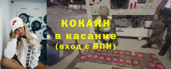 прущие грибы Майский