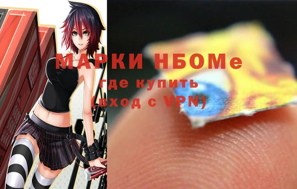 стафф Магадан